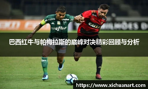 3377体育在线登录